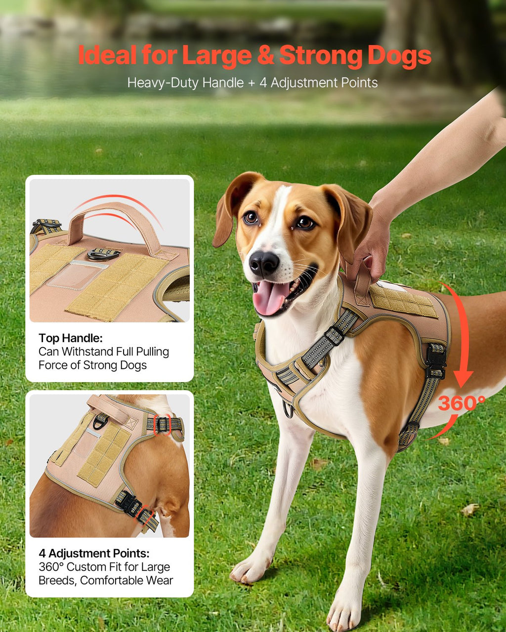 Adjustable straps