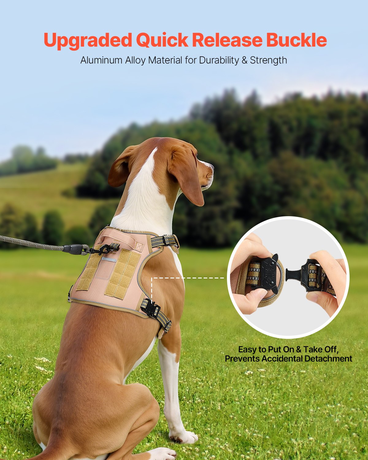 Dog wearing khaki no-pull tactical harness