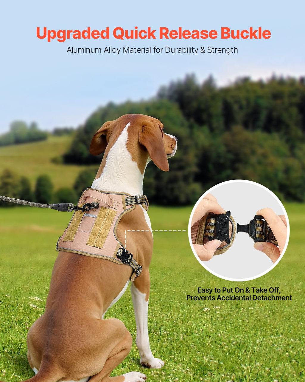 Dog wearing khaki tactical harness