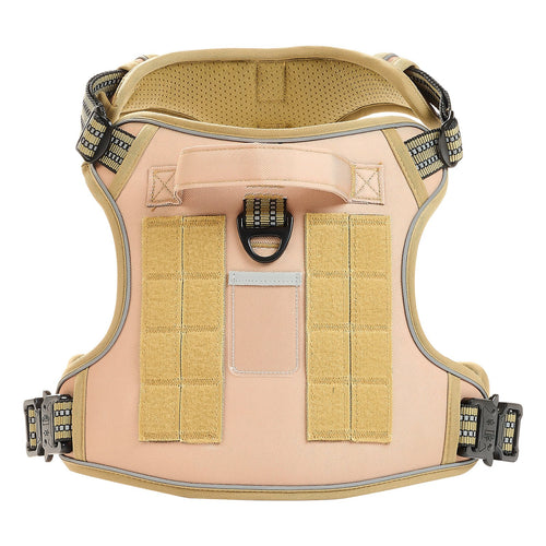Harness top view